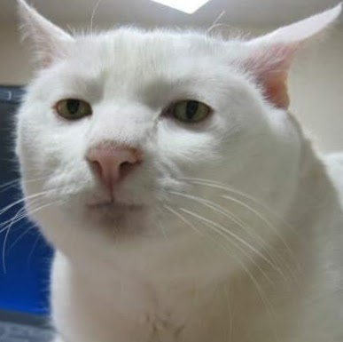 Jimmy Anderson Photo 31