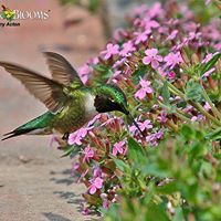 Christine Nickerson Photo 11