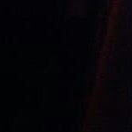 Courtney Singleton Photo 13