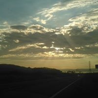 Crystal Strong Photo 16