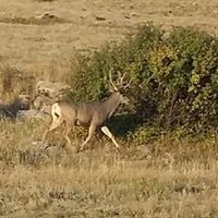 Robert Farris Photo 34
