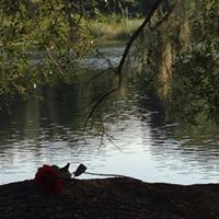 Robyn Meadows Photo 23