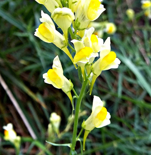 Jamie Metzger Photo 25