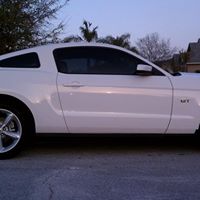 George Levine Photo 21