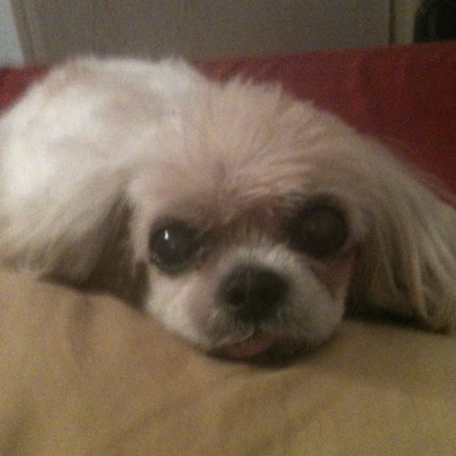 Debra Clemmons Photo 2
