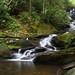 John Yancey Photo 40
