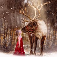 Laura Ackerman Photo 33