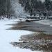 Beverly Snow Photo 12