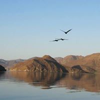 Kellie Rich Photo 10