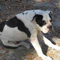 Jacob Webber Photo 12