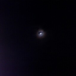 Anthony Green Photo 16