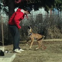 Jonathan Wicks Photo 22