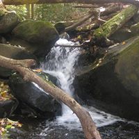 Ronnie Harrell Photo 24