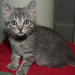 Virginia Parker Photo 14