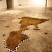 Dana Pearce Photo 43