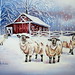 Cathy Wilson Photo 30
