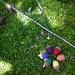 Lisa Stump Photo 30