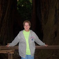 Susan Watkins Photo 15