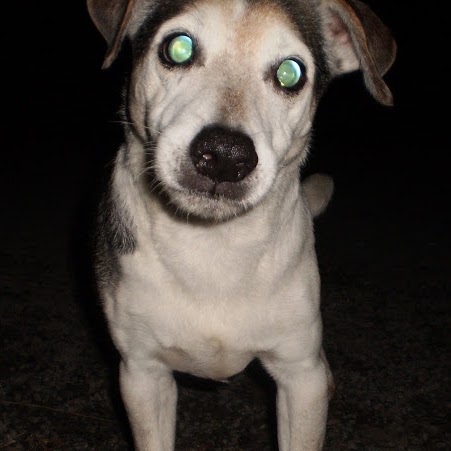 Chris Osborne Photo 33