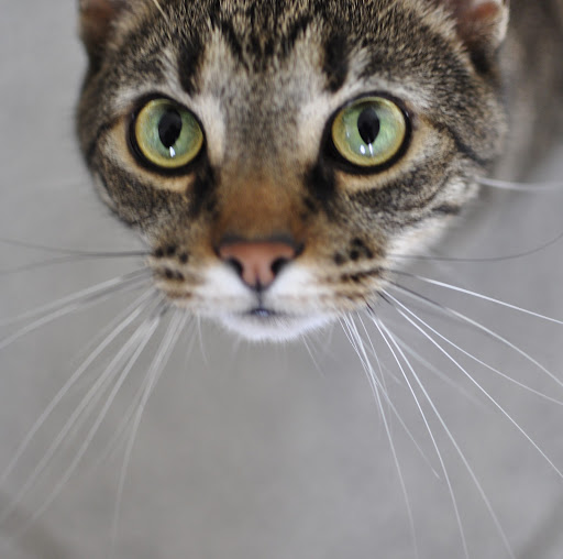 Susan Thornton Photo 6