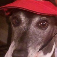 Max Mcdaniel Photo 7