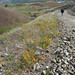 April Ridge Photo 5