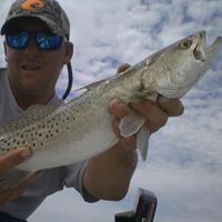 Steven Watts Photo 40 Steven Watts Photo 40