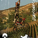 Jimmy Fitzpatrick Photo 31