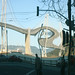 Gail Combs Photo 24