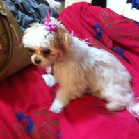 Jeannette Brennan Photo 7