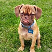 Cyndi Fuller Photo 31