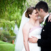 Stuart Whitehead Photo 36