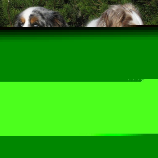 Randy Schultz Photo 21 Randy Schultz Photo 21