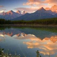 Theresa Wood Photo 18