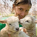 Theresa Lamb Photo 36