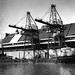 Norman Macpherson Photo 2