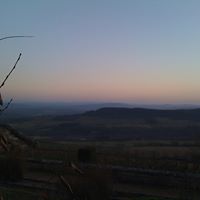 Daphne Nicholas Photo 11