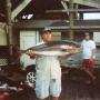Robert Roy Photo 11