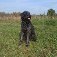 Susanna Swan Photo 18