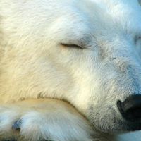 Michelle Kraft Photo 18