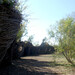 Susan Dougherty Photo 15