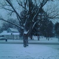 Allen Palmer Photo 11