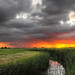 Daniel Weiland Photo 29