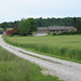 Judith Butcher Photo 16