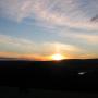 Vicki Gillies Photo 4