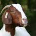 Bridget Long Photo 42