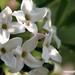 Karen Gold Photo 16