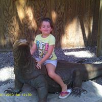 Debra Mcreavy Photo 8