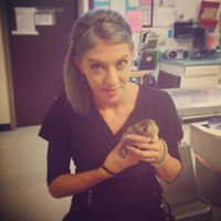 Michelle Hedges Photo 2