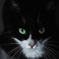 Amy Behrens Photo 27